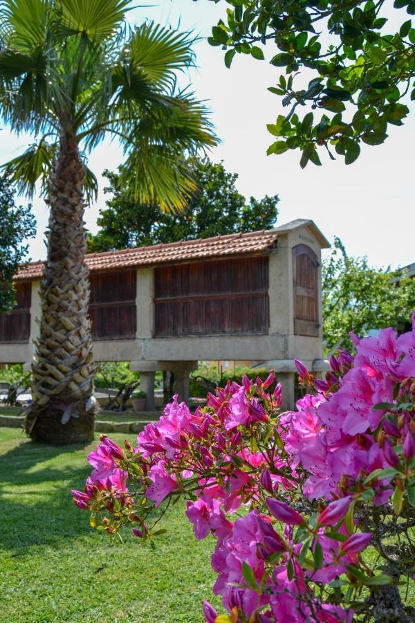 Casinha Do Eido Novo - Alojamento Local Valenca Exteriér fotografie